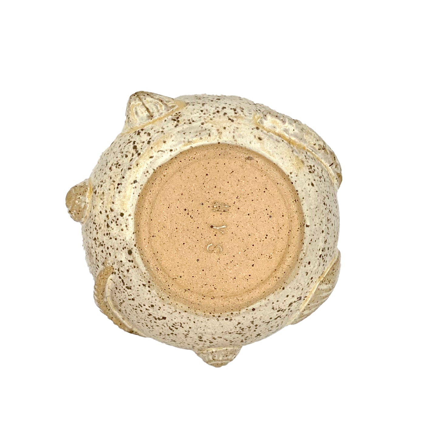 Shells and Fossils bowl