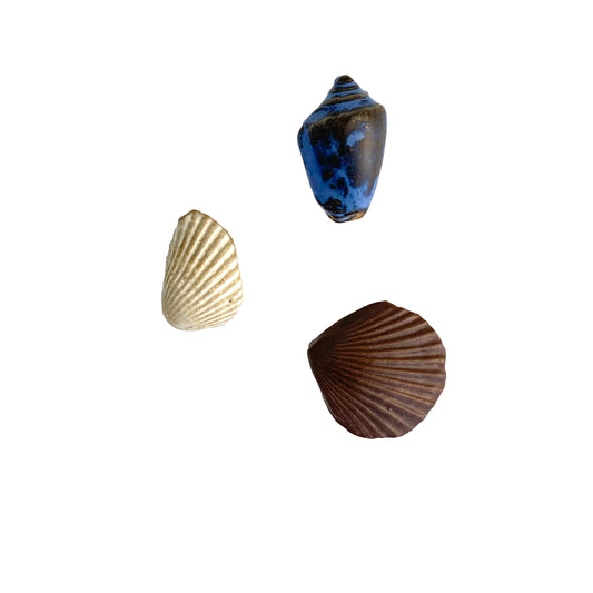 Magnets- Set of 3 ceramic Seashells