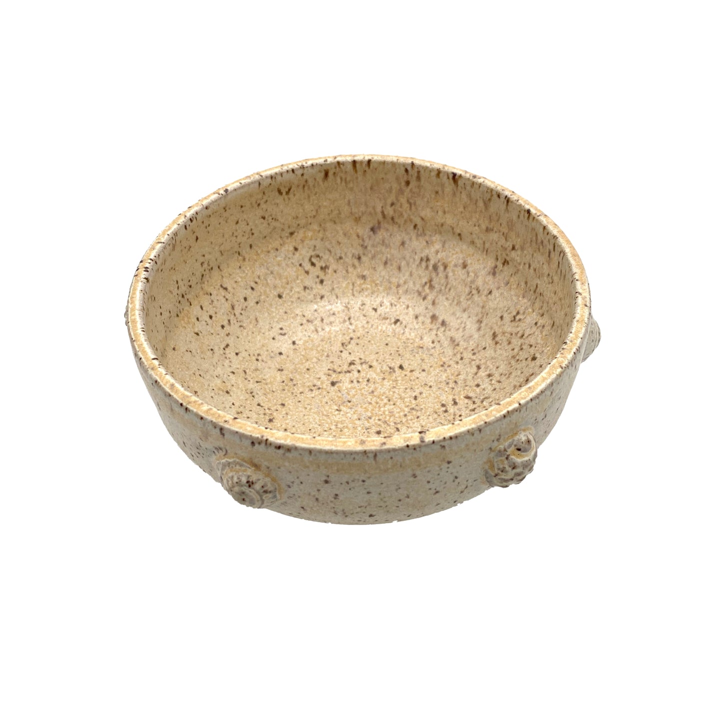 Fossils bowl