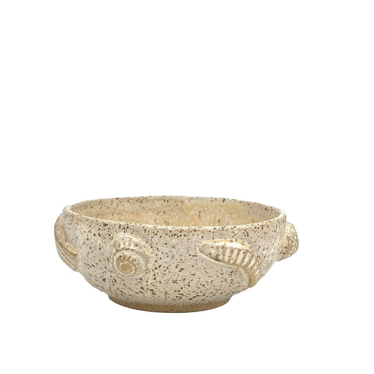 Shells and Fossils bowl