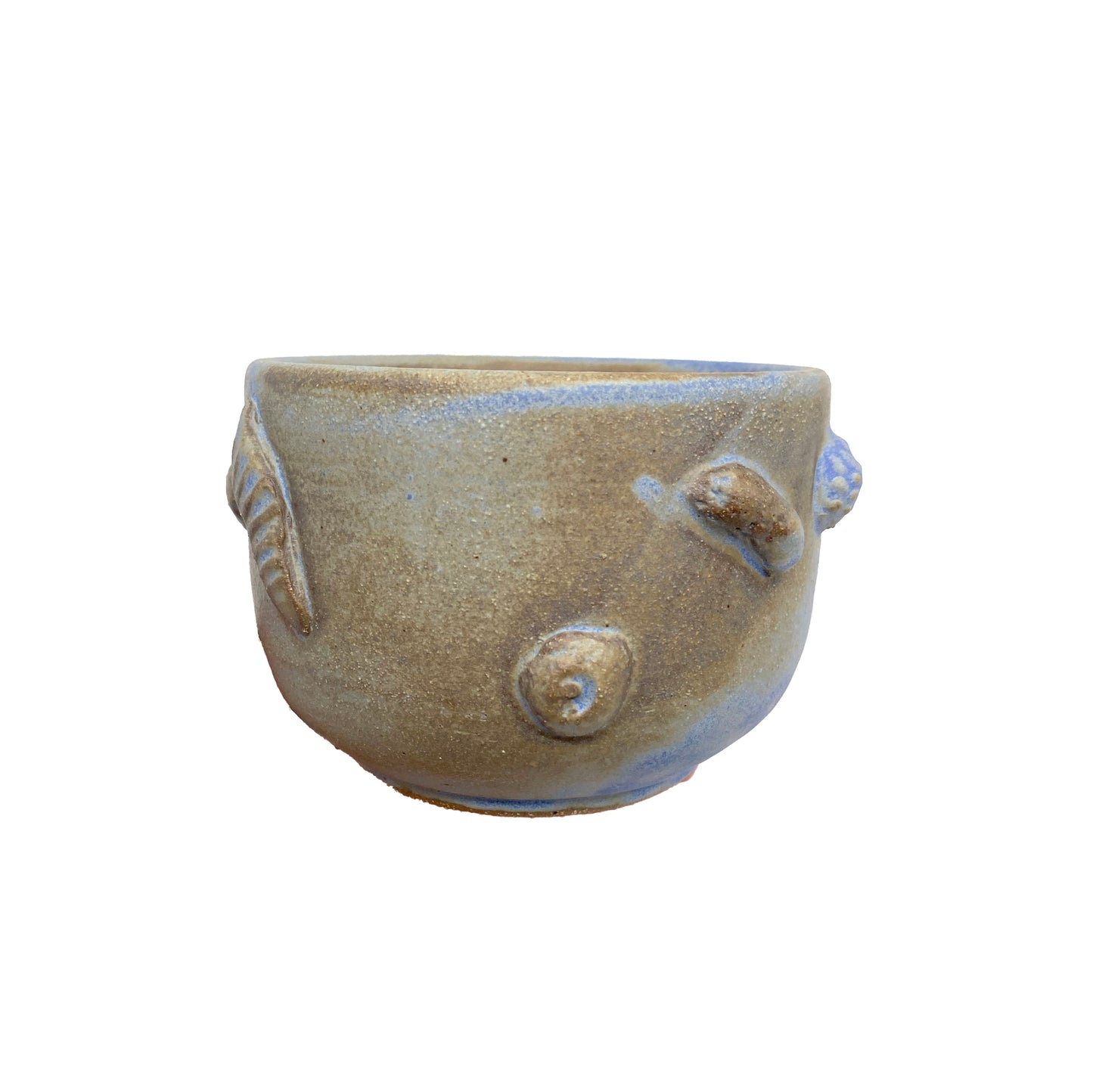 Matte light blue fossils cup