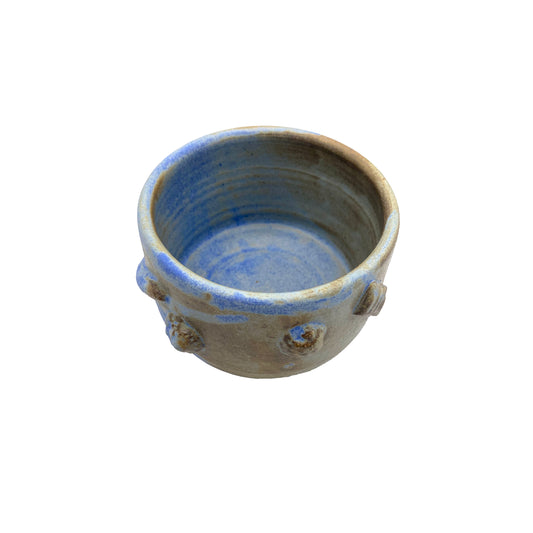 Matte light blue fossils cup